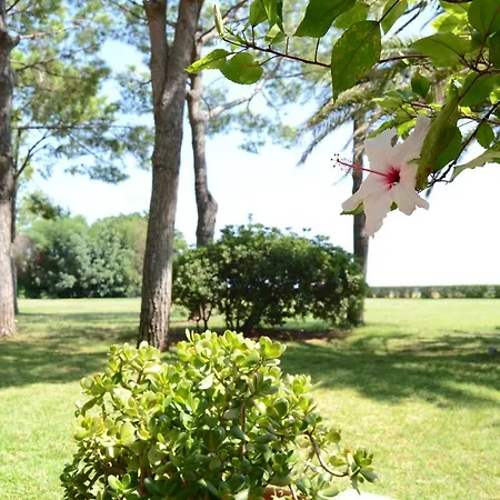 Hotel Estella Club